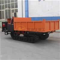 5噸座駕履帶運輸車